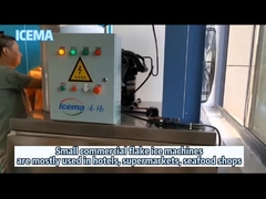 Komercyjna maszyna do płatków lodu słodkowodnego Mała maszyna do robienia płatków lodu Płatkowa roślina lodowa do użytku hotelowego