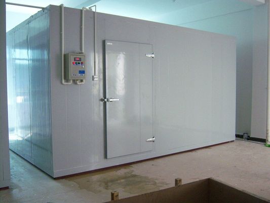 Fish Cold Room Zamrażarka Spacer po chłodniach