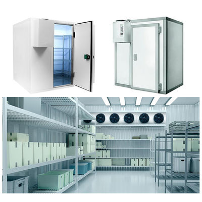 Owoce Warzywa Ryby Cool Room And Freezer Commercial