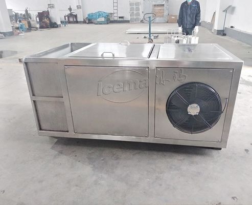 Mini Lodowiec 1 Tonowa Kompaktna Maszyna Bloku Lodowego z Komponentami Schneider Electric