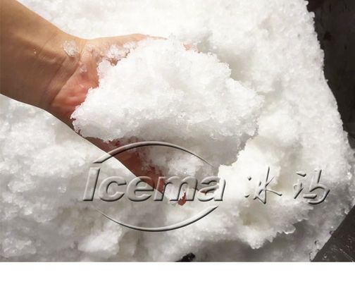 9T/h Pojemność przenośna maszyna lodownicza ze stali nierdzewnej ICEMA Mini do świeżego przechowywania