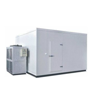 Dobra cena Fish Cold Room Zamrażarka Spacer po chłodniach w Internecie